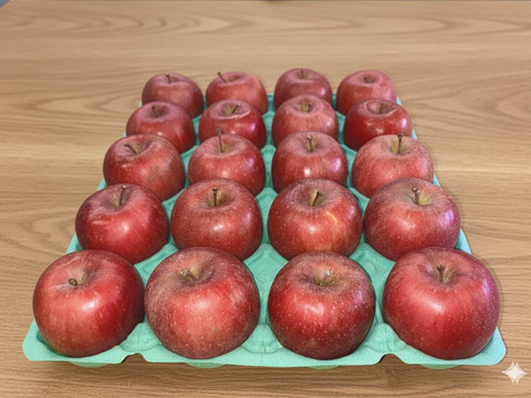 手のひらサイズ　サンフジ小玉　9.8㎏（40～50玉）