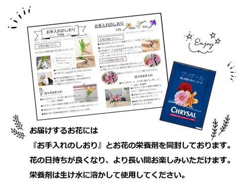 【まもなく終了】出荷量日本一！新潟県産チューリップ切り花　黄色系10本 　※北海道・沖縄県配送不可※