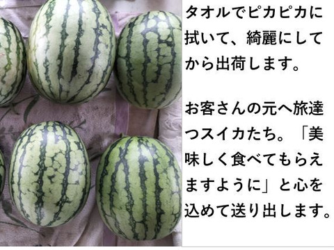 小玉スイカ シャリっと甘い！あきた夏丸チッチェ！〈フリーサイズ２玉：お得！〉