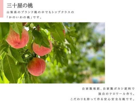 【７月下旬 】山梨市からお届け「三十屋」の木熟桃（2kg 大玉5～6個）