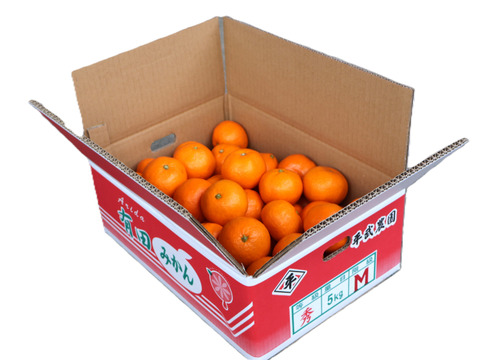 【冬ギフト】農家直送！有田みかん5kg≪Mサイズ 秀品≫【平武農園】～蛍飛ぶ町から旬の便り～　和歌山｜有田｜田口｜ギフト｜こだわり　産地直送　お取り寄せ