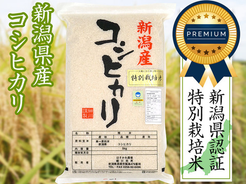 【プレミアム米】令和3年産新潟県認証特別栽培米コシヒカリ白米10kg（5㎏×2袋）
