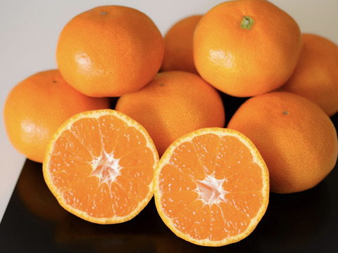 果汁たっぷり、この味衝撃！　ゆら早生　由良【小玉　5kg】