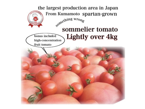 受賞歴３回！訳ありソムリエトマト4.5〜5.5kg（１８玉～３６玉) ②のオマケ❗️希少な高濃度フルーツトマト【食べ比べ】