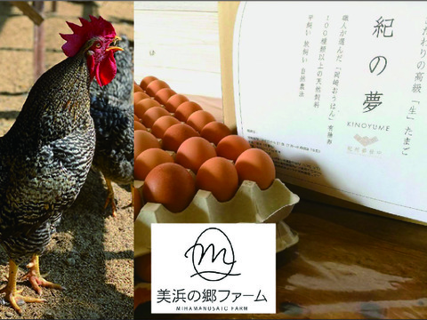 平飼い自然放し飼い有精卵 コロナ支援 数量限定割引販売100個 定価290円 1個がなんと100円 和歌山県産の卵 乳製品 食べチョク 産地直送 産直 お取り寄せ通販 農家 漁師から旬の食材を直送