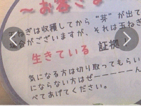 淡路産 新玉葱 ５Kg 箱入り　　サラダで美味しい