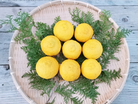 【コンビニ支払い用】11月10日～発送 有機JAS認証ゆず（黄玉・優品）3kg