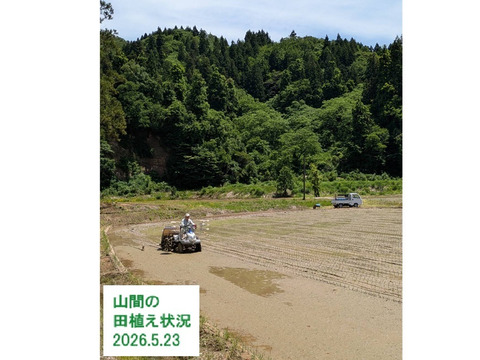 【在庫わずか】新潟県長岡市とちお産コシヒカリ4kg｜山の湧水で育った棚田米｜箱入り・送料相当分値引き中