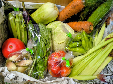 《自然栽培》夏秋　旬の手作り野菜セット【８種類くらい】