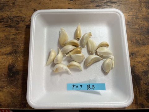 40 自然栽培　黒にんにく 人気　サイズいろいろ　たっぷり17個　令和4年度新物　食べやすくて美味しい