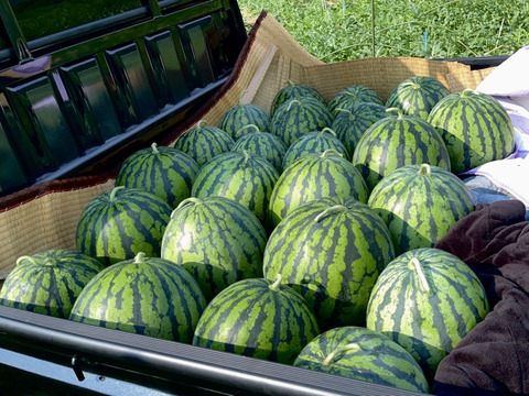 山形県産 尾花沢すいか 祭りばやし
