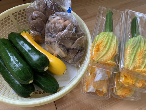 原木椎茸２袋、ズッキーニ4本、花ズッキーニ15本‼️3点セット❗️