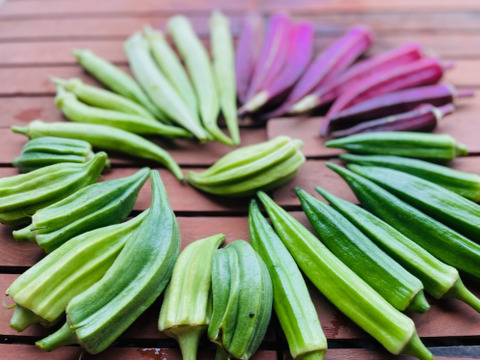 カラフル・レア野菜で元気に！
『Ｌサイズ★カラダ喜ぶ夏野菜セット10品目以上計12袋お届け』
初めての野菜でも安心な簡単レシピ付き、贈り物にも最適です！