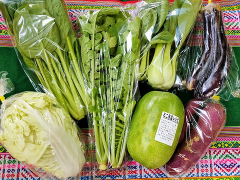 ご近所さんとシェアセット★農園自慢の情熱野菜セット　14袋　フードロス対策　パチャママ農園
