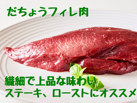 NHKで紹介！【お試し300g】最高級部位　柔らかな上質な赤身【牛肉？馬肉？】【ダチョウ肉フィレ】