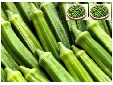 オクラ 柔らかトロうま！口の中で弾けるプチプチの種！＜80本/約1kg＞