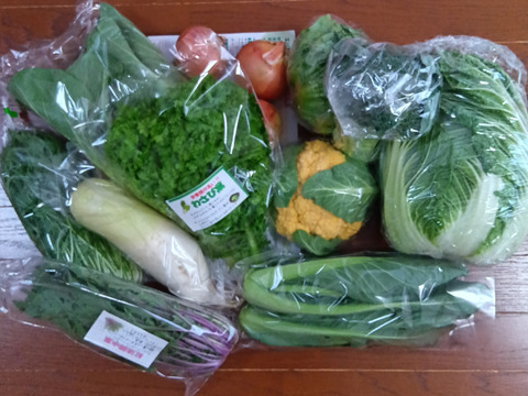 淡路島からの野菜4種❣️お任せセット(^-^)v❣️野菜セット