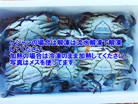 ワタリガニ メス大サイズ冷凍発送1kg（約2-3杯） 渡り蟹 ガザミ