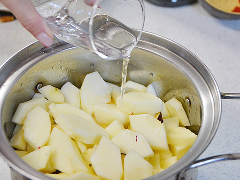 昔懐かしの『紅玉』　山形県朝日町和合平産　2キロ