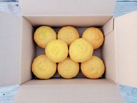 【コンビニ支払い用】11月10日～発送 有機JAS認証ゆず（黄玉・優品）3kg