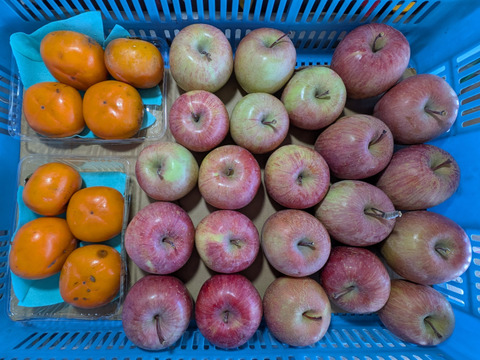 柿とリンゴの加工原料箱詰め