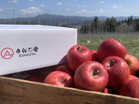 【蔵出しサンふじ】(5kg・中玉16個入り)まだまだシャキシャキ・ジューシーお得な自家食用