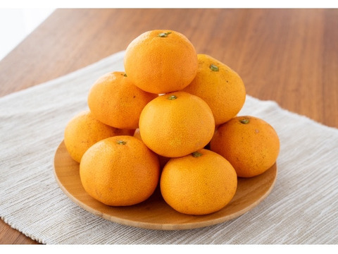 極早生みかん　　酸味が少なく食べやすいみかんです。皮はまだ緑色ですが中身はオレンジ色‼️  プチっと弾けるとみかんの香りがします。