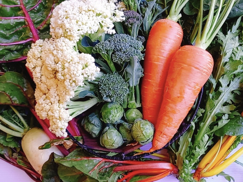 【新春　1月発(^^♪】双葉農園の”イチオシ”の7種の野菜セット　 〜from 名水の里　神奈川県秦野市