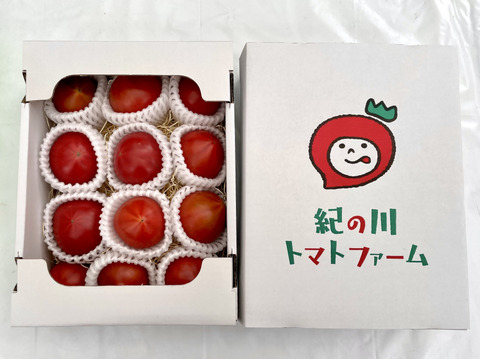 【3箱】衝撃の濃い味！トマトを超えた【ト・マーレ】罪深い美味しさ！800g3箱