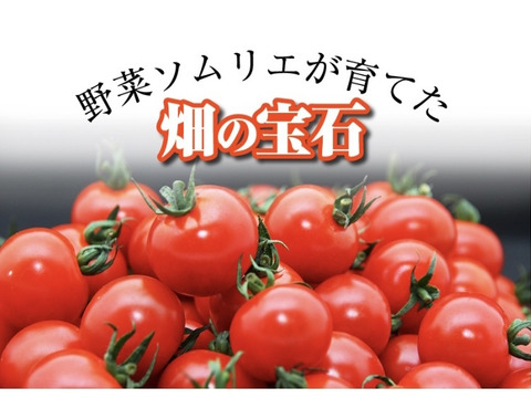 【冬ギフト】【極み】食べ比べ　ソムリエミニトマト　プラチナ1kgとダイヤ1kgのセット