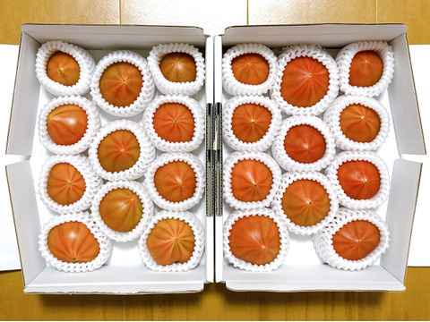 【2箱】弾ける旨味・甘み！【ト・マーレ】禁断の濃密さ 800g×２