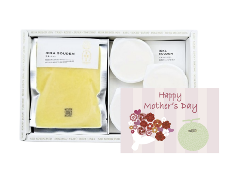 【母の日ギフト】マスクメロンのピューレ3袋と高知のバニラアイス3個