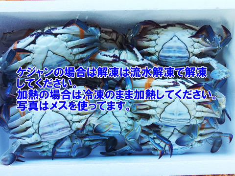 冷凍ガザミ オス大サイズ ２kg（約6杯）日本三景松島産★ワタリガニ ガサミ　がさみ　渡り蟹　わたりがに