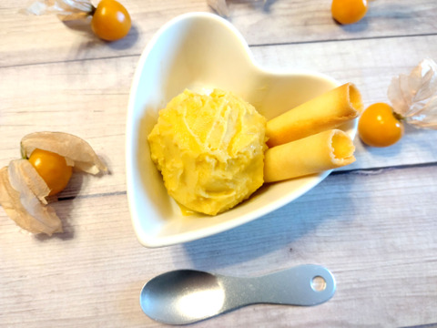 🍃5月セール🍃ひんやり爽やか🍧果実の美味しさを味わえるゴールデンベリー冷凍セット（プレミアムアイス2個／そのまま食べられるフローズンゴールデンベリー300g入り）