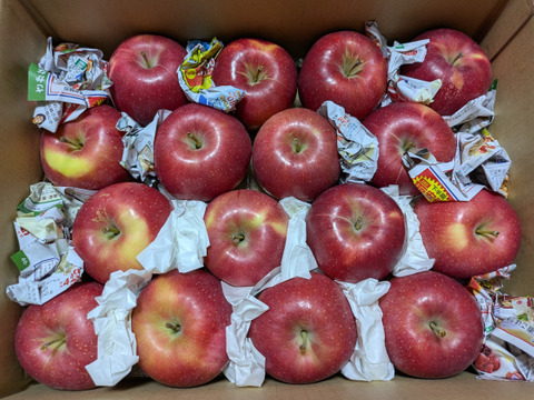 【優しい甘さでリピさん多し！】こうたろう　家庭用小玉　3キロ箱（3.2キロほど入ります）【葉とらず】JA基準より60％減の低農薬栽培