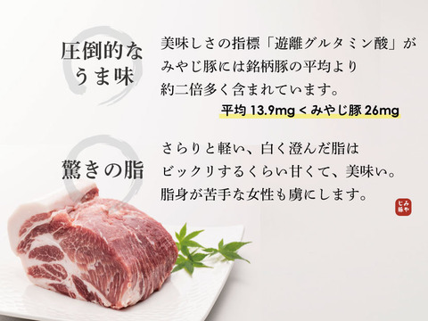 【5月27日発送】みやじ豚 究極のベーコンブロック(280g) ※冷蔵