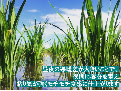 令和６年新米 特別栽培米''隠れたお米の名産地''新潟県五泉産コシヒカリ100%「南郷米」精米20kg