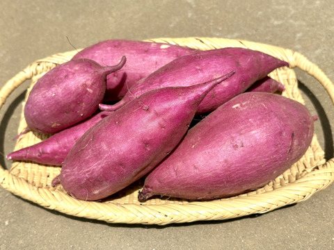 【新芋】サラサラと口で溶けるホクホク系‼︎新品種「ゆきこまち」 3キロ箱