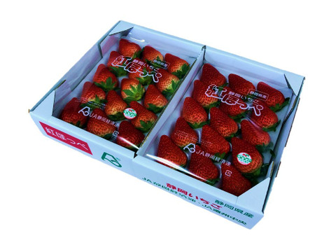 【贈答用】静岡県産いちご　紅ほっぺ　500g×2パック