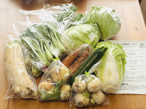 【10日分の野菜！】旬の野菜セット9～12品【農薬・化学肥料不使用】
