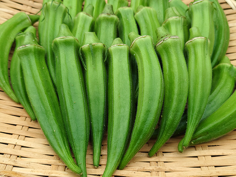 旬のおいしさで夏バテ知らず！夏野菜セット「ミニトマトと夏オクラ」[化学農薬・化学肥料・除草剤不使用]
