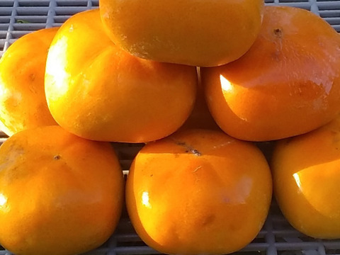 【種なし柿】極早生品種(SM混在2㎏)冷蔵便和歌山産