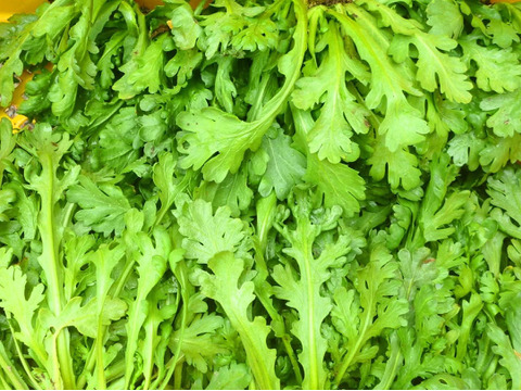 気分スッキリ！カラフルサラダセット～農薬化学肥料不使用