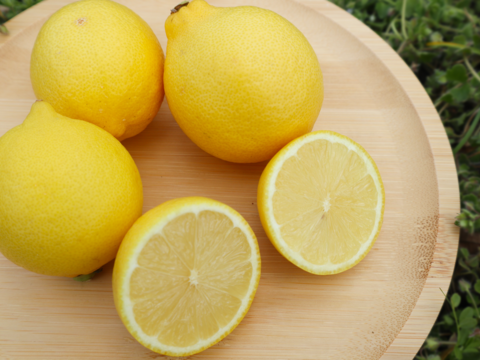【使いきりサイズで便利！】冷蔵貯蔵の貯蔵レモン ワックス・除草剤不使用の皮ごと楽しめる国産リスボンレモン 小ぶりサイズ（4kg・冷蔵便）
