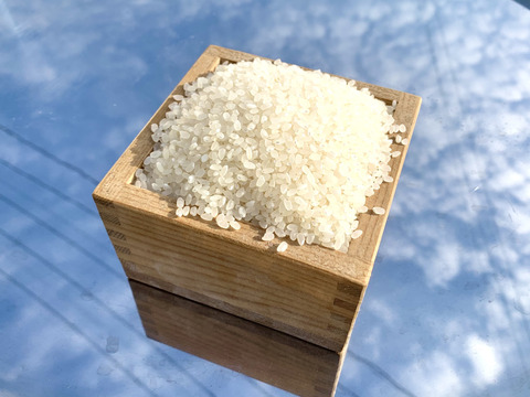 【高級米をお手頃な価格で！！】極めて稀少な砂田米！(約25kg)（ヒノヒカリ）