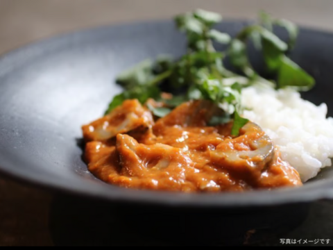 川端さんちのスパニッシュカレー　5個セット