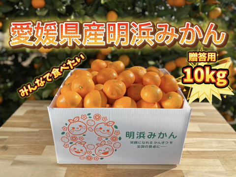 🍊今が旬🍊愛媛県明浜産　温州みかん　ご贈答用　10ｋｇ サイズS～2L