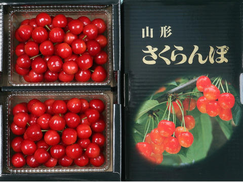 【予約販売】さくらんぼ『 紅秀峰』 (500g ×2) 1㎏『2Ｌ玉』バラ詰 甘くて美味しい山形県産 化粧箱入り