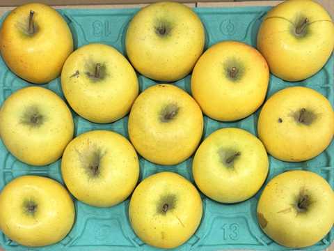 【お手頃・小玉】シナノゴールド　カワイイ小玉💛家庭用 約2.7Kg🍏　青森県産　数量限定