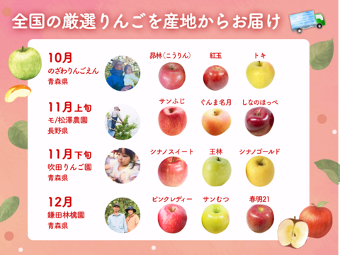 【食べチョク旬の食べ比べ便】昴林（こうりん）/紅玉/トキ